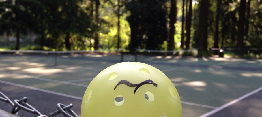 Where to Play Pickleball in Bellingham, WA...